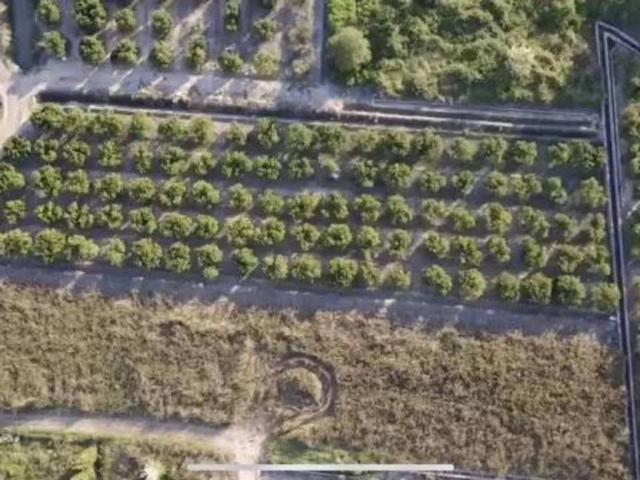 Terreno en venta en la Ribera Baixa, Valencia