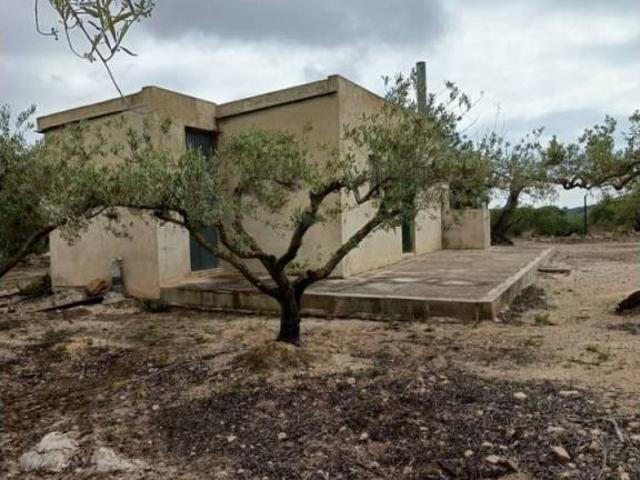 Terreno en venta en la Ribera Baixa, Valencia