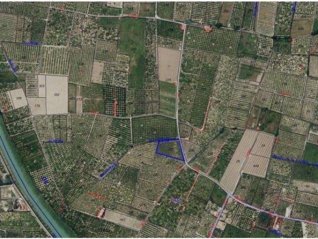 Terreno en venta en la Ribera Baixa, Valencia