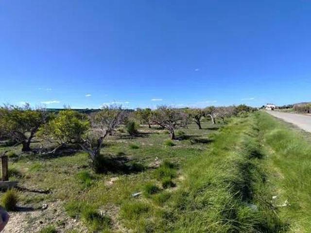 Terreno en venta en la Ribera Baixa, Valencia