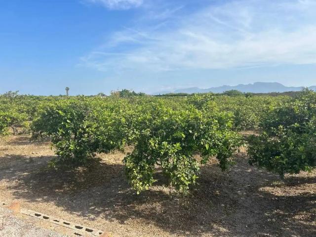 Terreno en venta en la Ribera Baixa, Valencia