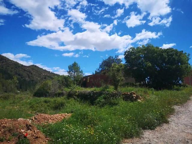 Terreno en venta en la Plana Baixa, Valencia