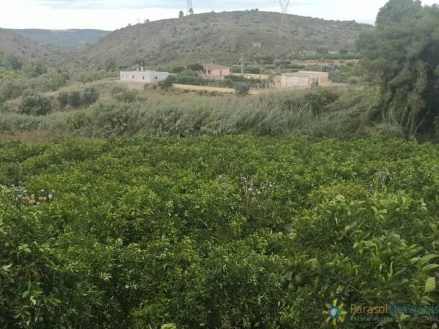 Terreno en venta en la Ribera Alta, Valencia