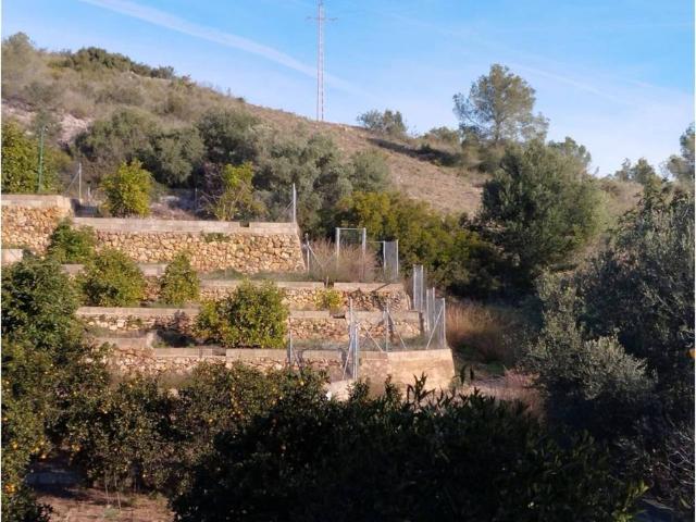 Terreno en venta en la Ribera Alta, Valencia