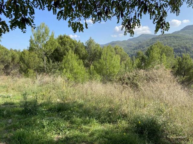 Terreno en venta en Bages, Catalunya