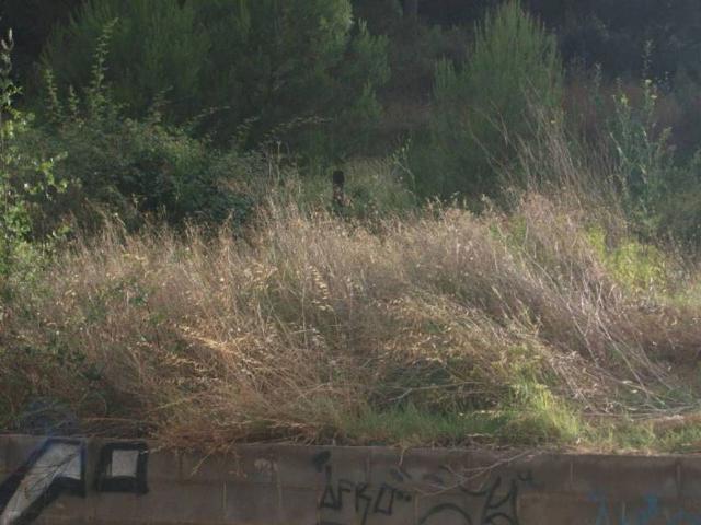 Terreno en venta en Bages, Catalunya