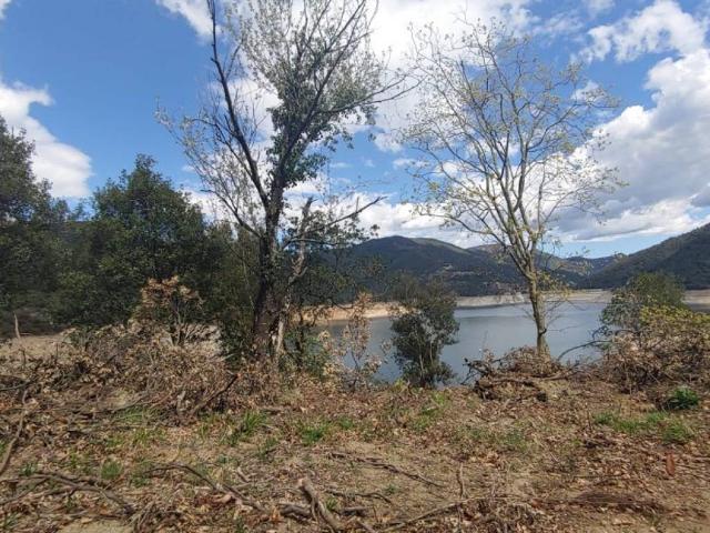 Terreno en venta en la Selva, Catalunya