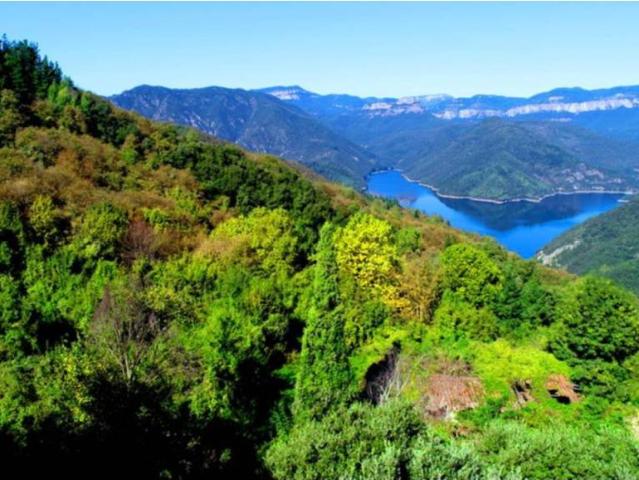 Terreno en venta en la Selva, Catalunya