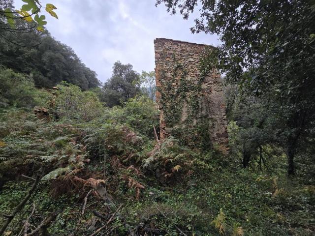 Terreno en venta en la Selva, Catalunya