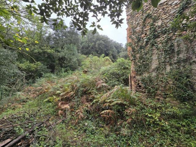 Terreno en venta en la Selva, Catalunya