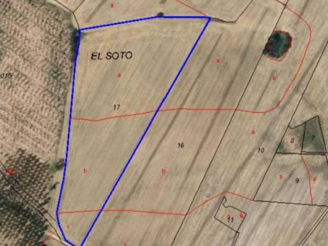 Terreno en venta en Tabanera De Cerrato, Castilla y León