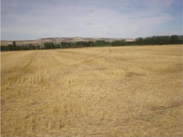 Terreno en venta en Tabanera De Cerrato, Castilla y León