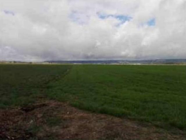Terreno en venta en Tabanera De Cerrato, Castilla y León