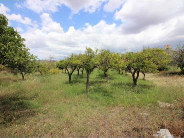 Terreno en venta en Tabernas, Andalucía