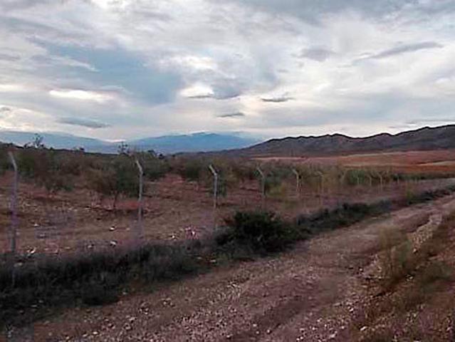 Terreno en venta en Tabernas, Andalucía