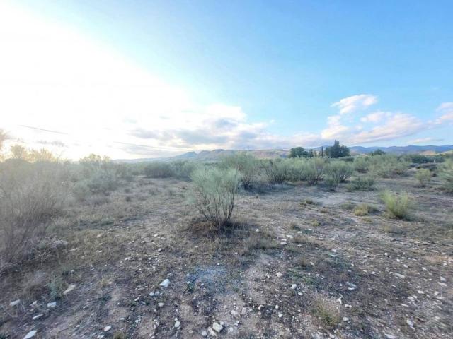 Terreno en venta en Tabernas, Andalucía