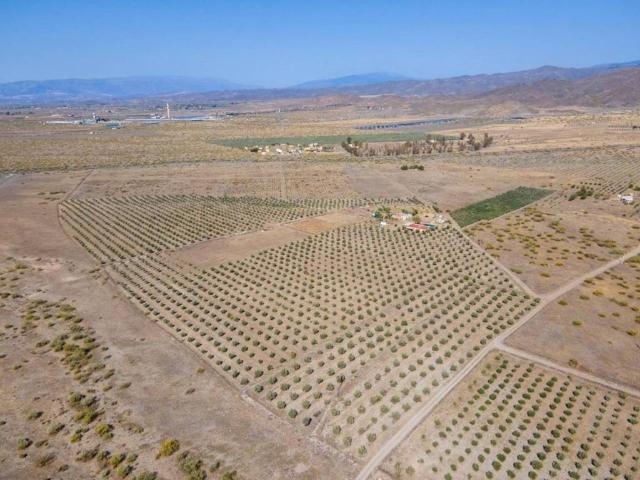 Terreno en venta en Tabernas, Andalucía