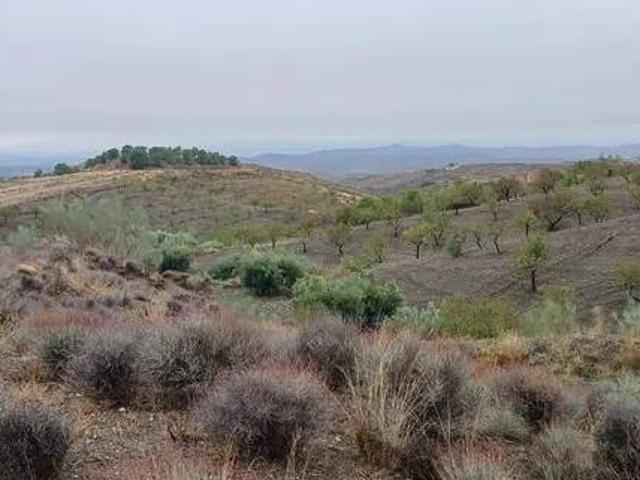 Terreno en venta en Valle del Almanzora, Andalucía