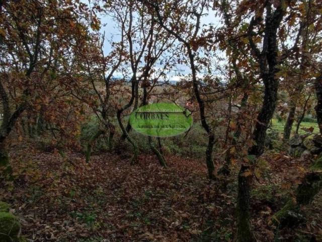 Terreno en venta en Ourense, Galicia