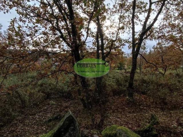 Terreno en venta en Ourense, Galicia