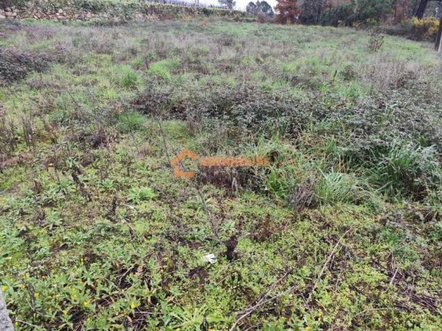 Terreno en venta en Ourense, Galicia