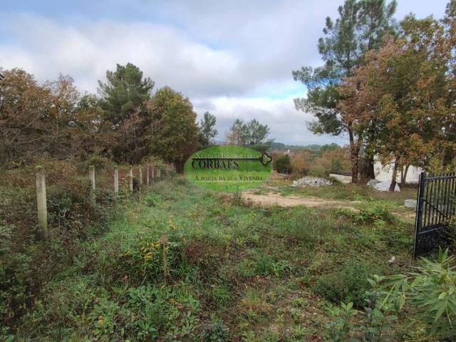 Terreno en venta en Taboadela, Ourense
