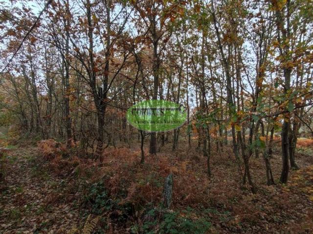 Terreno en venta en Taboadela, Ourense