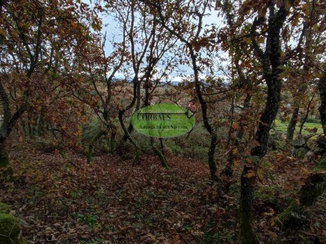 Terreno en venta en Taboadela, Ourense