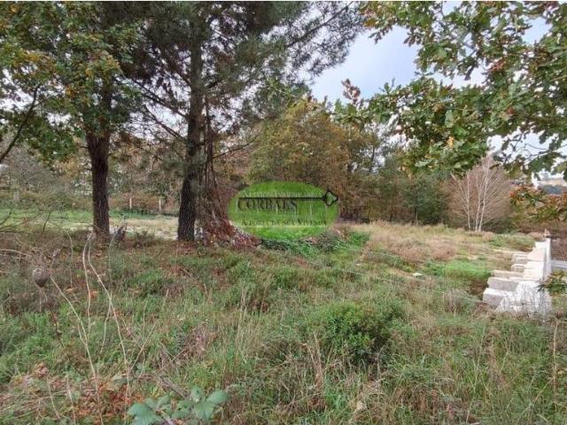 Terreno en venta en Ourense, Galicia