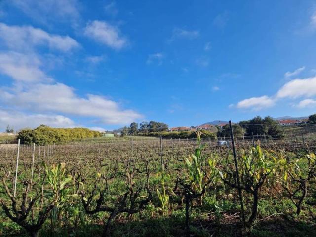 Terreno en venta en El Cantillo, Tacoronte