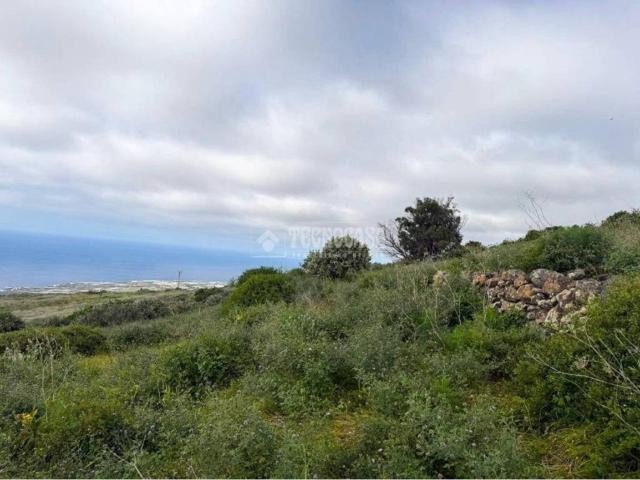Terreno en venta en Tacoronte, Canarias