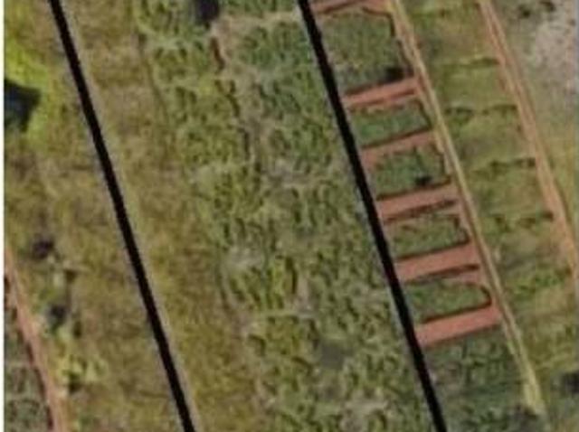 Terreno en venta en Tacoronte, Canarias