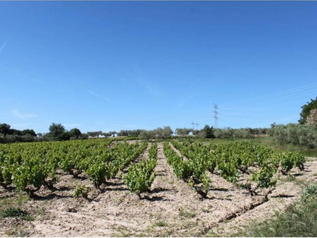 Terreno en venta en Erdialdea, Navarra