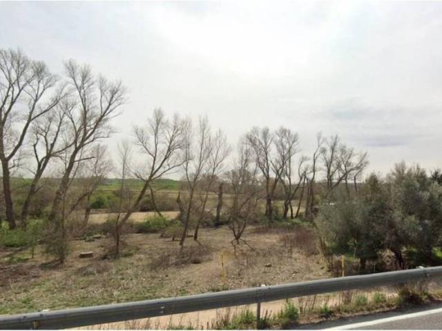 Terreno en venta en Talamanca De Jarama, Madrid