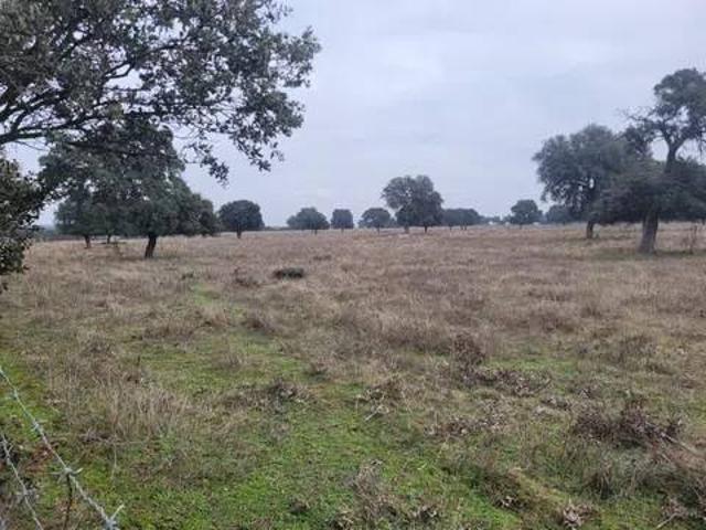 Terreno en venta en Talavera De La Reina, Castilla-La Mancha