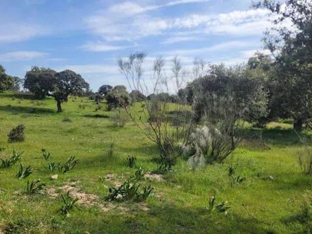 Terreno en venta en Talavera De La Reina, Castilla-La Mancha