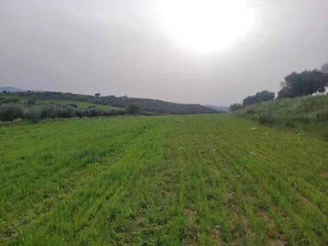 Terreno en venta en Talavera De La Reina, Castilla-La Mancha