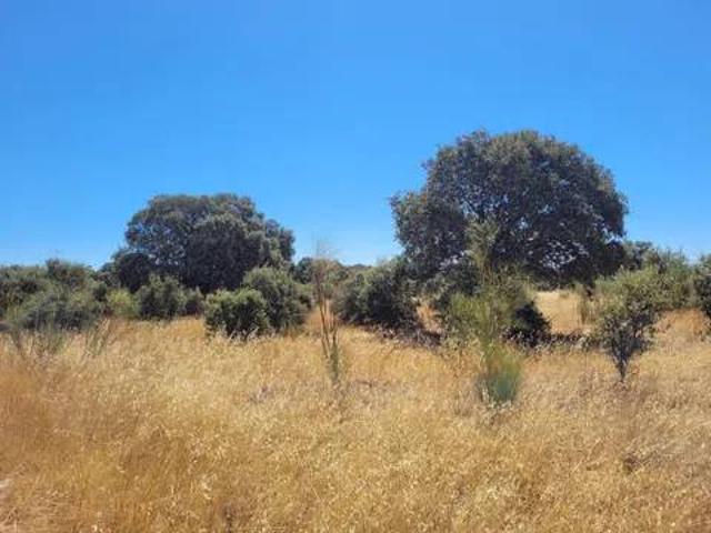 Terreno en venta en Talavera De La Reina, Castilla-La Mancha