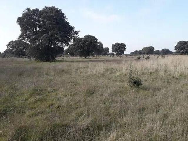 Terreno en venta en Talavera De La Reina, Castilla-La Mancha