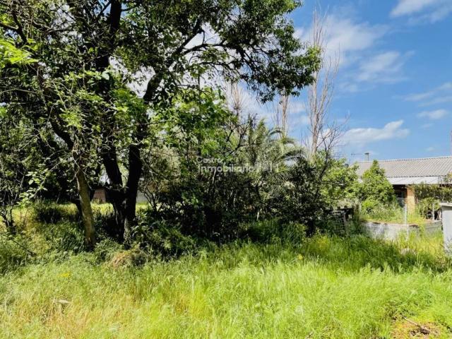 Terreno en venta en Talavera De La Reina, Castilla-La Mancha