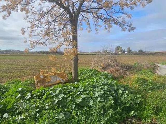 Terreno en venta en Talavera De La Reina, Castilla-La Mancha