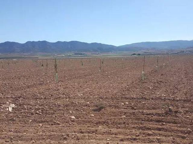 Terreno en venta en Talavera De La Reina, Castilla-La Mancha