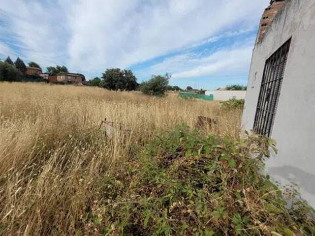 Terreno en venta en Cervines, Talavera De La Reina