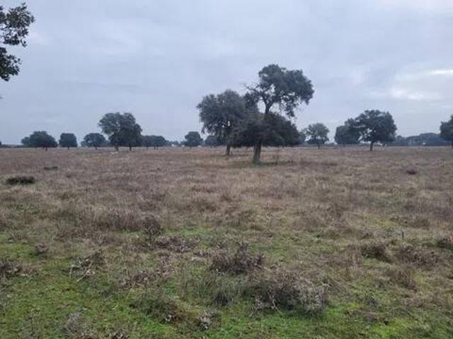 Terreno en venta en Talavera De La Reina, Toledo