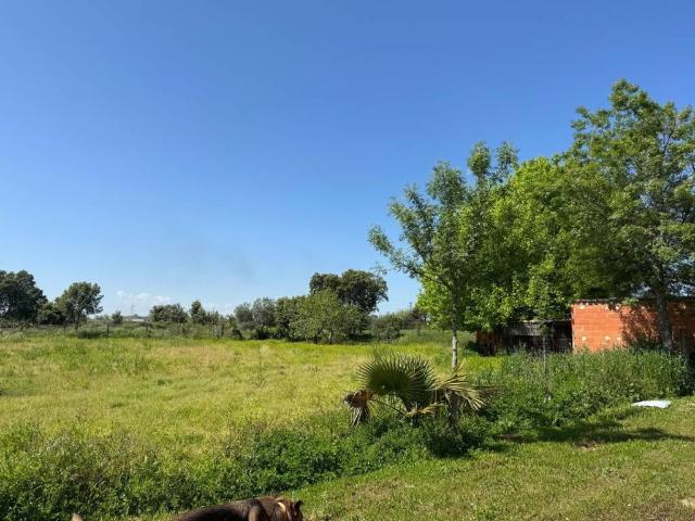 Terreno en venta en Talavera De La Reina, Castilla-La Mancha