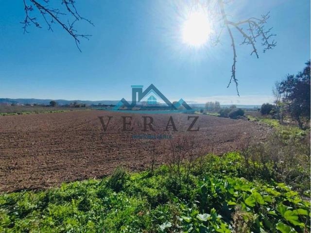 Terreno en venta en Talavera De La Reina, Castilla-La Mancha
