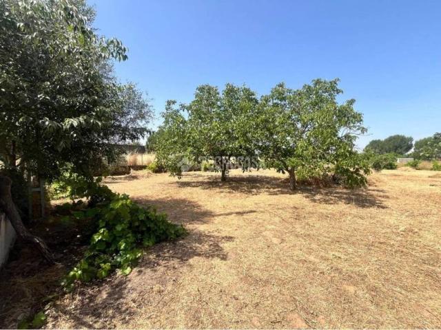 Terreno en venta en Talavera De La Reina, Toledo