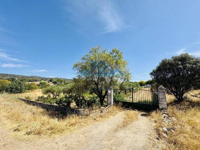 Terreno en venta en Talavera De La Reina, Castilla-La Mancha