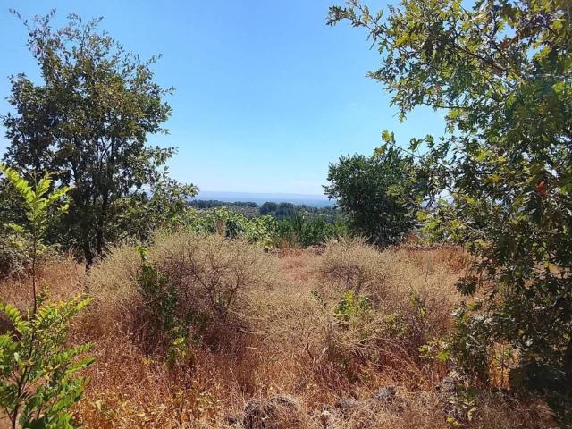 Terreno en venta en Talaveruela De La Vera, Extremadura