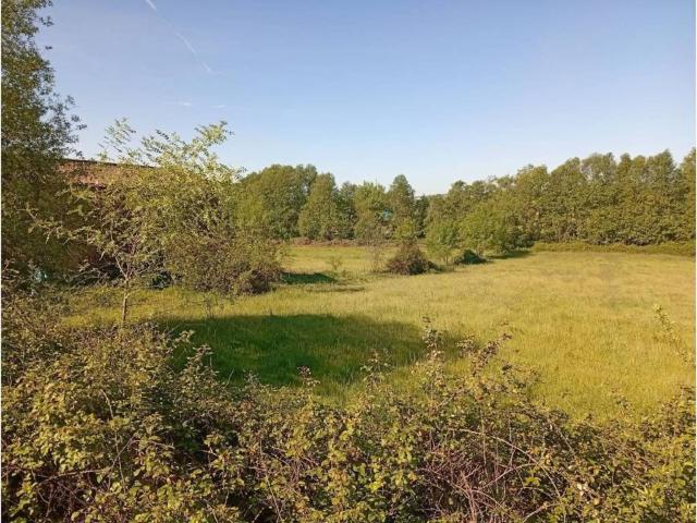 Terreno en venta en Talaveruela De La Vera, Extremadura
